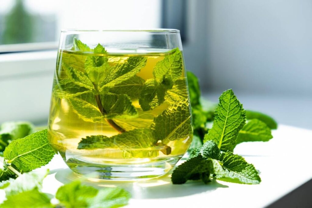 Napar z mięty pieprzowej