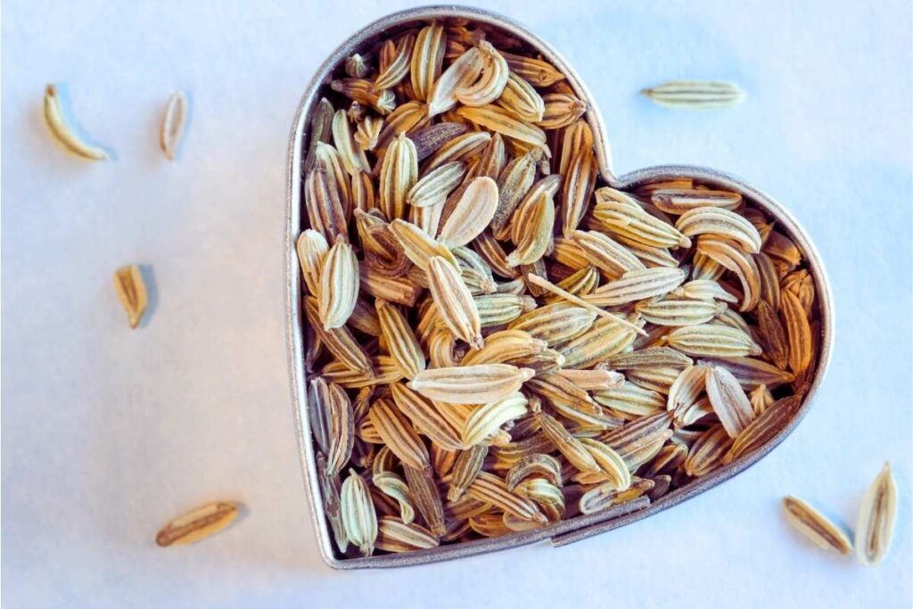 Nasiona kopru włoskiego, z których możesz przygotować napar