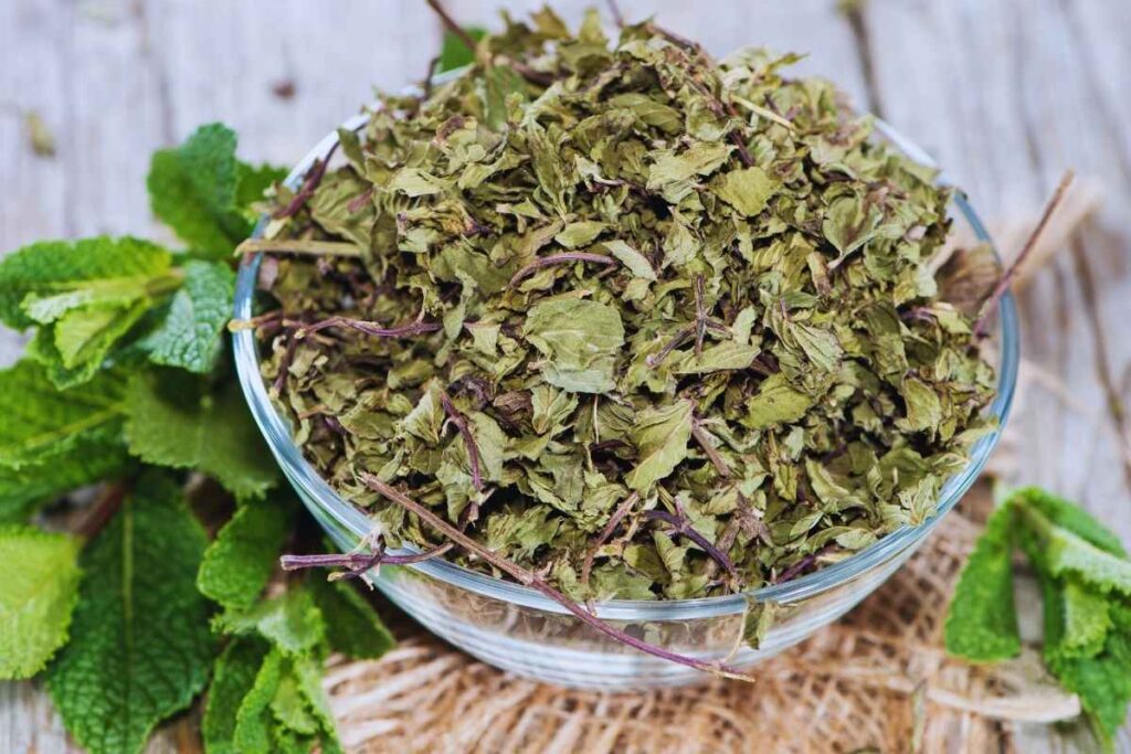 suszone liście mięty pieprzowej