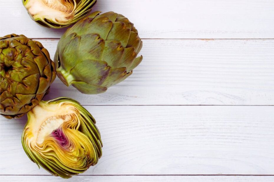 Przekrój karczocha zwyczajnego